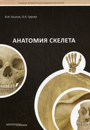 Анатомия скелета. Учебное пособие. Гриф УМО по медицинскому образованию фото книги
