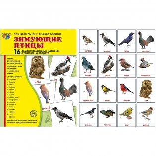 Комплект картинок "Супер. Птицы: перелетные, зимующие, домашние и декоративные" (количество томов: 8) фото книги 2