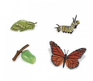Набор фигурок "Жизненный цикл бабочки монарх" фото книги