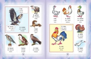 Французско-русский визуальный словарь для детей фото книги 9