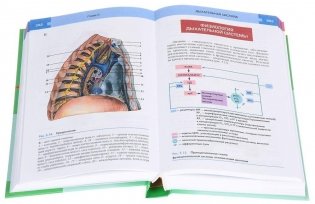 Анатомия и физиология человека. Учебное пособие для студентов учреждений среднего профессионального образования фото книги 2