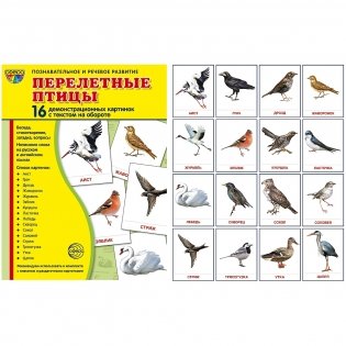 Комплект картинок "Супер. Птицы: перелетные, зимующие, домашние и декоративные" (количество томов: 8) фото книги 3