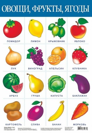 Обучающий плакат "Овощи, фрукты" фото книги