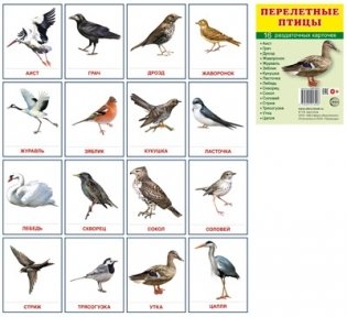 Демонстрационные картинки Супер. Перелетные птицы.16 раздаточных карточек с текстом фото книги