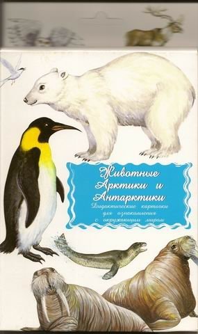 Дидактические карточки. Животные Арктики и Антарктики фото книги