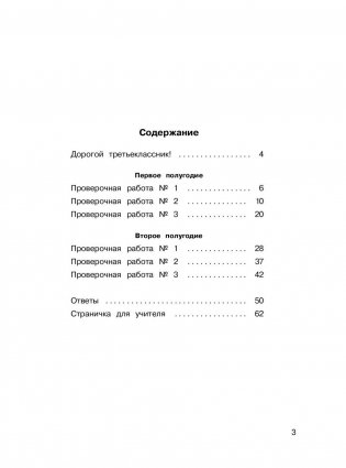 Русский язык. Проверочные работы и контрольные задания. Первое и второе полугодия. 3 класс фото книги 6
