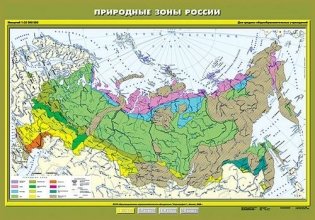 Природные зоны России. Плакат фото книги