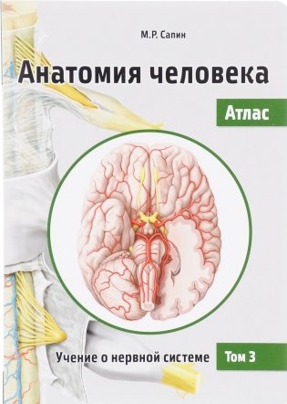 Анатомия человека. Атлас. Том III. Учение о нервной системе фото книги