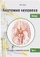 Анатомия человека. Атлас. Том III. Учение о нервной системе фото книги маленькое 2