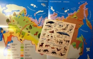 Обучающий плакат "Природные зоны России. Животные и растения" фото книги 3