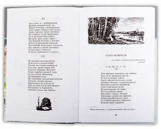 Евгений Онегин: Роман в стихах фото книги 2
