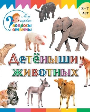 Детеныши животных фото книги