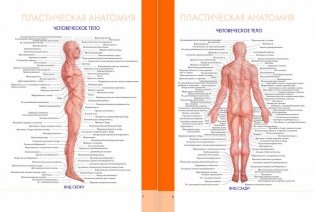 Большой атлас анатомии человека фото книги 5