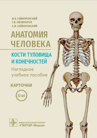 Анатомия человека. Кости туловища и конечностей. 32 карточки фото книги