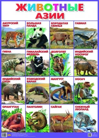 Животные Азии. Плакат фото книги