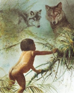 Книга джунглей фото книги 8