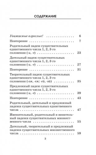 Подготовка к контрольным диктантам по русскому языку. 4 класс фото книги 4