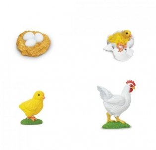 Набор фигурок "Жизненный цикл курицы" фото книги 2