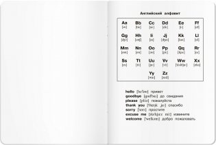 Тетрадь для записи английских слов в начальной школе (Ёжик) фото книги 8