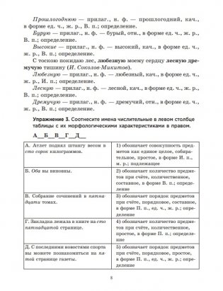 Русский язык на "отлично". 8 класс фото книги 8