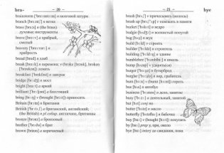 Англо-русский, русско-английский словарь для начальной школы фото книги 3