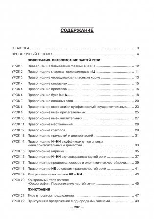 Русский язык: экспресс-курс подготовки к централизованному тестированию фото книги 11