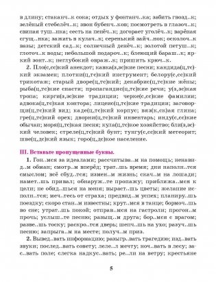 Русский язык. Тренажер по орфографии и пунктуации 8 класс фото книги 4