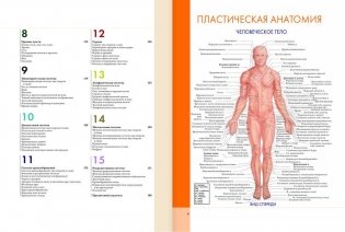 Большой атлас анатомии человека фото книги 4