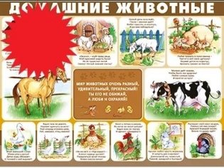 Плакат "Домашние животные", А2 фото книги