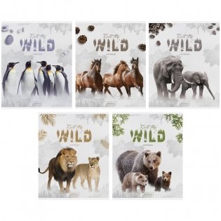 Тетрадь "Животные. Into the wild", 48 листов фото книги