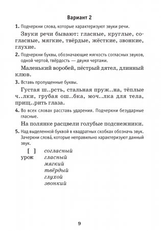 Русский язык. Тематический контроль. 2–4 классы фото книги 3