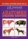 Анатомия домашних животных фото книги маленькое 2