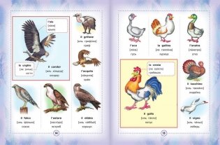 Итальянско-русский визуальный словарь для детей фото книги 9