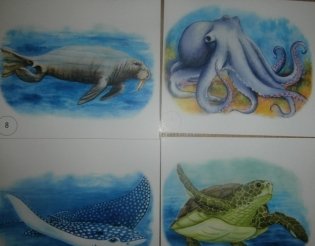 Морские животные. Развивающие карточки фото книги 3