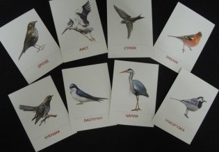 Демонстрационные картинки Супер. Перелетные птицы.16 раздаточных карточек с текстом фото книги 3
