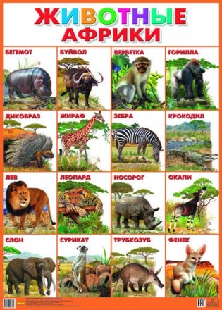 Наглядное пособие "Животные Африки" фото книги