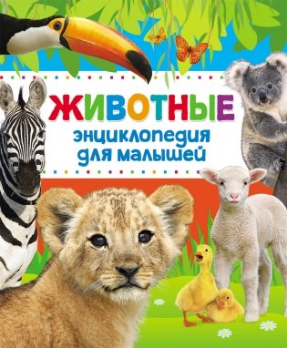 Животные. Энциклопедия для малышей фото книги