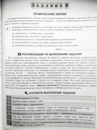 ЕГЭ-2021. Русский язык. Отличный результат фото книги 4