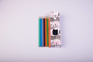 Пластиковый пенал с карандашами "Милые коты" (24 штуки) фото книги