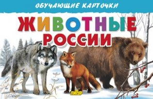 Животные России. Обучающие карточки фото книги