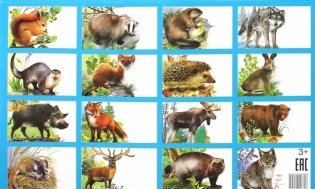 Животные России. Обучающие карточки фото книги 2