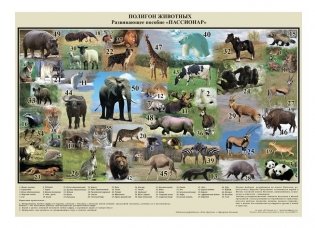 Комплект плакатов №1 от 2 лет "Таблица сотни. Полигон животные. Полигон Следы" от семьи Никитиных фото книги