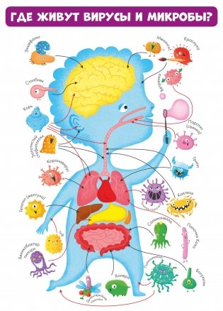 Вирусы и микробы. 10 познавательных плакатов фото книги 3