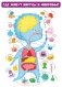 Вирусы и микробы. 10 познавательных плакатов фото книги маленькое 4