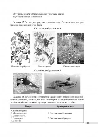 Биология. 11 класс фото книги 2