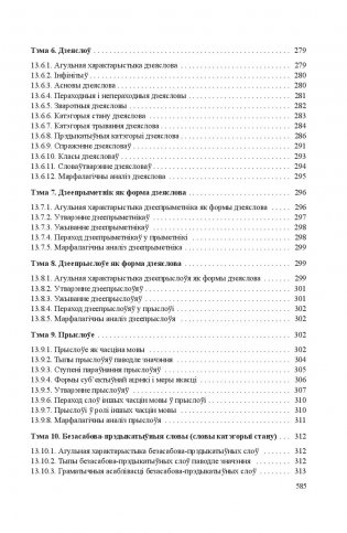 Сучасная беларуская літаратурная мова фото книги 13
