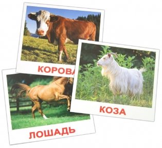 Комплект карточек “Домашние животные” фото книги