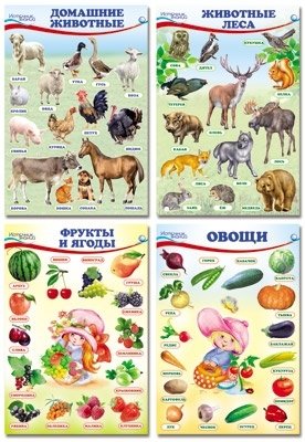 Комплект познавательных мини-плакатов. Домашние животные, лесные животные, фрукты и ягоды, овощи фото книги