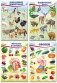 Комплект познавательных мини-плакатов. Домашние животные, лесные животные, фрукты и ягоды, овощи фото книги маленькое 2