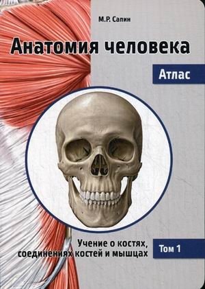 Анатомия человека. Атлас. Учебное пособие. В 3-х томах. Том 1: Учение о костях, соединениях костей и мышцах фото книги